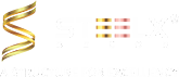 Steelx Decor Logo